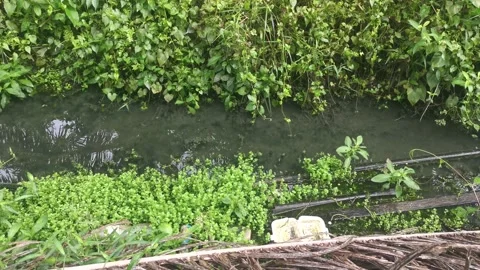 The drain 库存影片 171098735