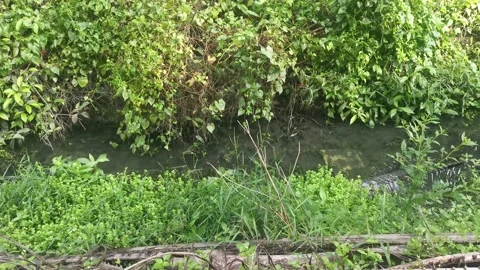 The drain 库存影片 171098755