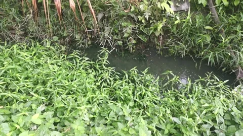 The drain 库存影片 171098793