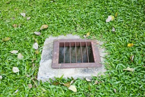 Drain on the grass green Stock Photos