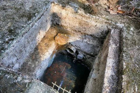 Drain Mushroom. Stock Photos