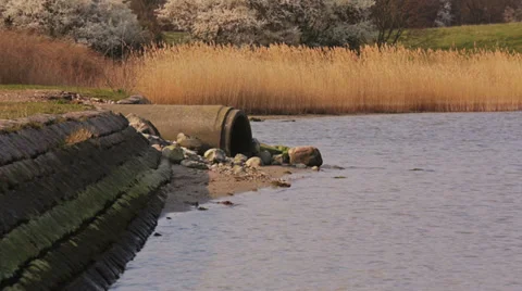 Drain pipe ending up in a body of water Stock Footage 36741904