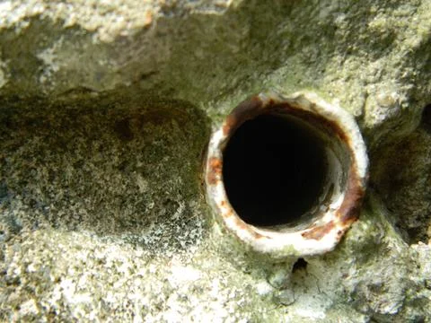 Drain pipe Stock Photos