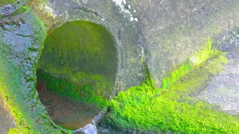 Drain pipe surrounded by green moss and natural textures Stock Footage 334590787