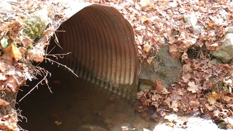 Drain pipe with water flowing trough it with leaves in the ground Stock-Footage 141765204