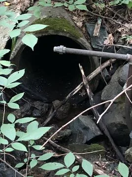Drain Pipe in the Woods 1 Stock Photos
