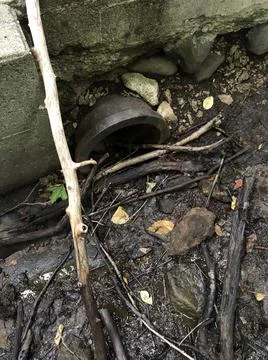 Drain Pipe in the Woods 2 Stock Photos