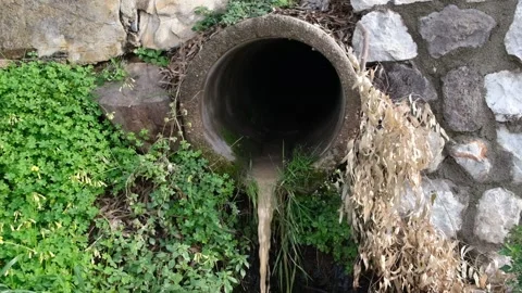 Drain pipes, environmental pollution. Stock Footage 148082600