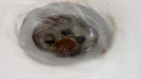 Drain with running water Stock Footage 47094813