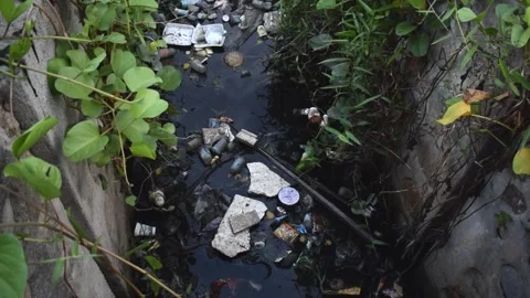 Drain Waste Stock Footage 294159907