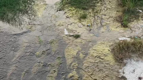 Drain Water Flows With Moss and Vegetation 库存影片 330325836