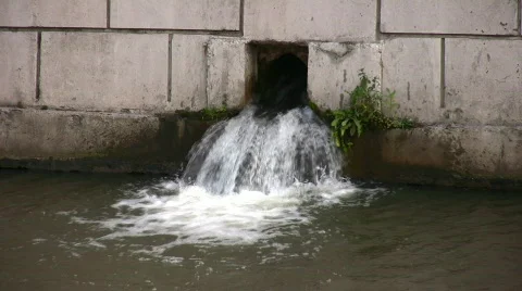 Drain water Stock Footage 309077