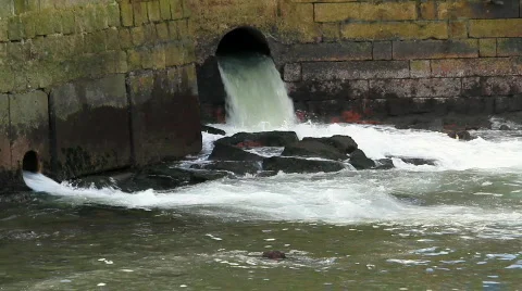 Drain Water Video stock 841653