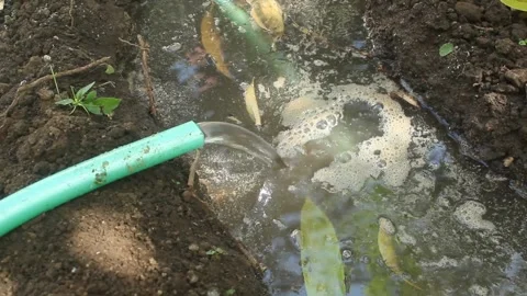 Drain water Stock Footage 242601266
