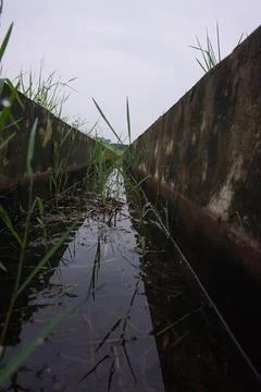Drain water system Stock Photos