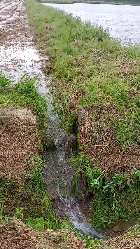 Drainage Stock Footage 307099426