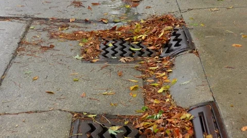 Drainage got clog with leaves 動画素材 320285403