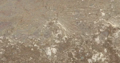 Drainage Mud water flowing Texture Stock Footage 279838309