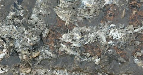 Drainage Mud water flowing Texture Stock Footage 280139370
