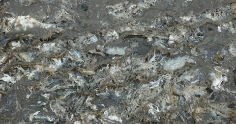 Drainage Mud water flowing Texture Stock Footage 280139373