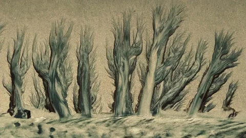 Drainage patterns on sandy beach Stock Footage 235736256