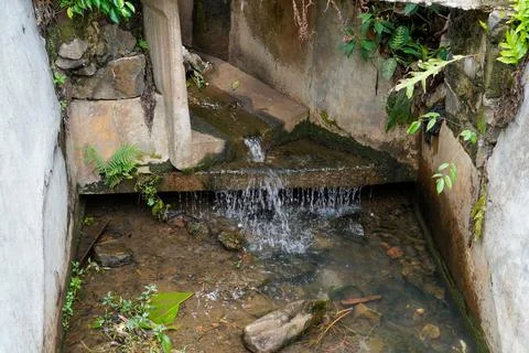 Drainage Stock Photos