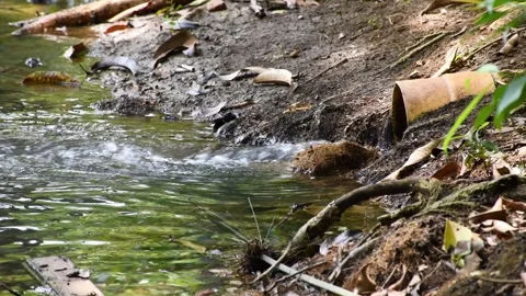 Drainage Pipe Polluting Lake, River Pollution, Water Contamination from Stock Footage 300600717