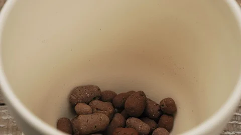 Drainage is poured into the flowerpot. Close-up. Stock Footage 115989261