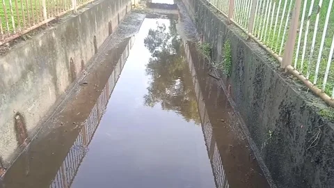 Drainage River Flows Calmly in the Ditch. Roadside Video Shooting Stock Footage 304963555