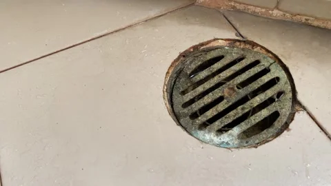 Drainage rusty metal gutter grid close up view on bathroom sewage Stock Footage 250146390
