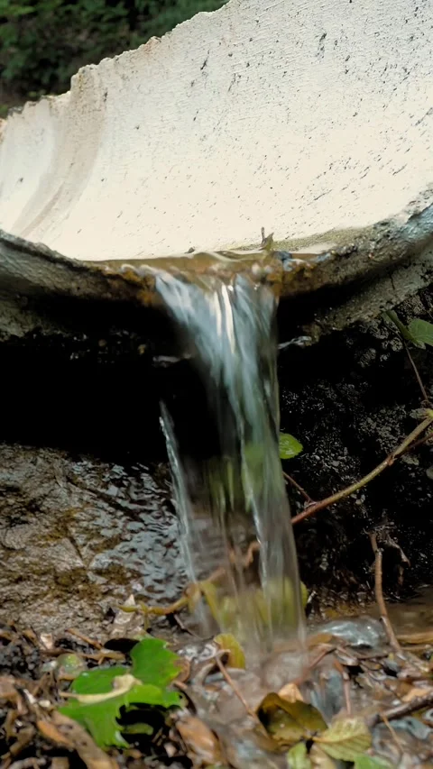 Drainage system in the forest. Water flowing through the channel. Forest and Stock Footage 311996851