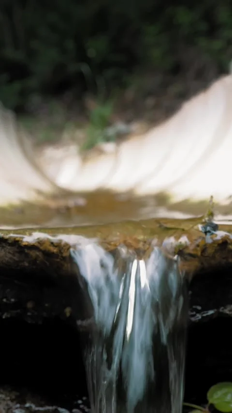 Drainage system in the forest. Water flowing through the channel. Forest and Stock-Footage 312382837