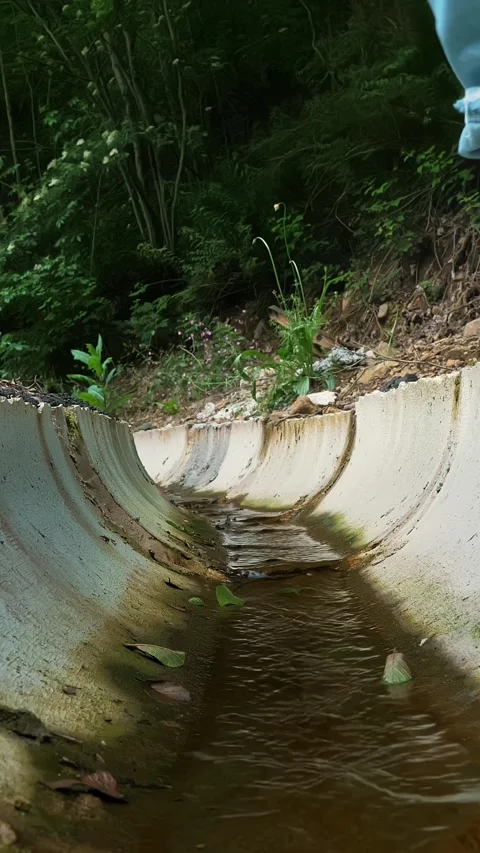 Drainage system in the forest. Water flowing through the channel. Two tourists Stock Footage 313978210