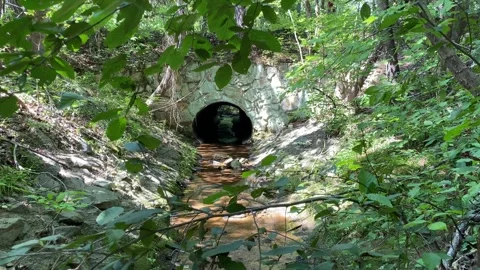 Drainage tunnel Moving forward toward forest drainage tunnel with flowing cr Video stock 327852501