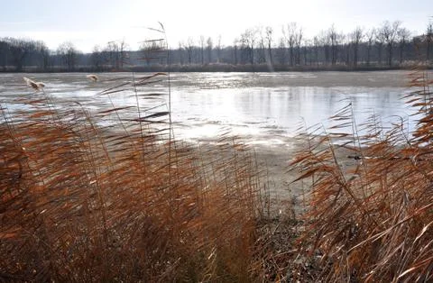 Drained pond Stock Photos