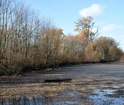 Drained pond Stock Photos