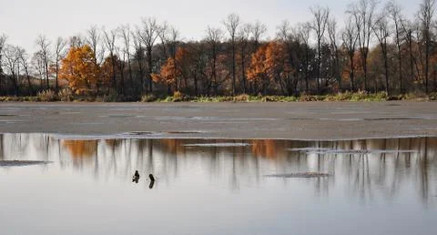Drained pond Stock Photos
