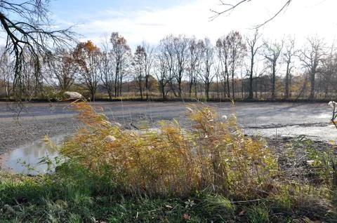 Drained pond Stock Photos