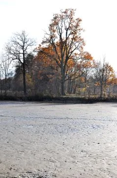 Drained pond Foto stock