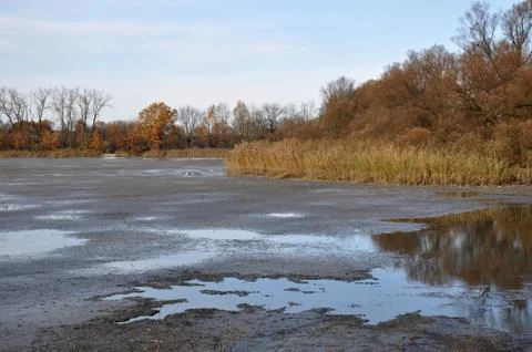 Drained pond Stock Photos