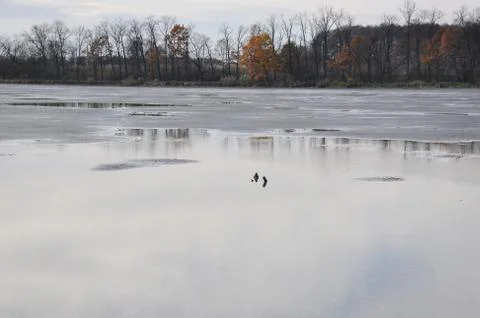 Drained pond Stock Photos