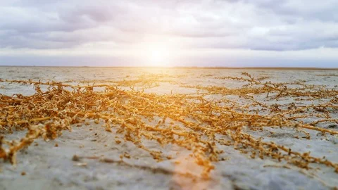 Drained Salt Lake Stock Footage 101632250