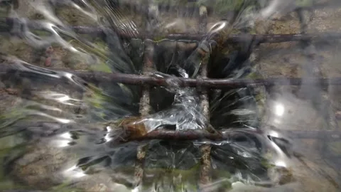 Draining water Stock Footage 154532214