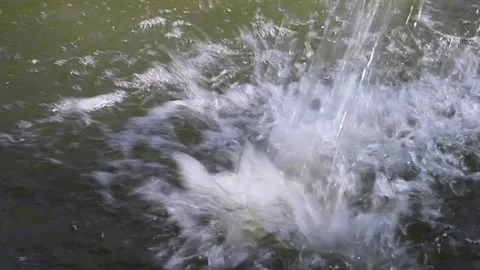Draining Water Stock Footage 252544940