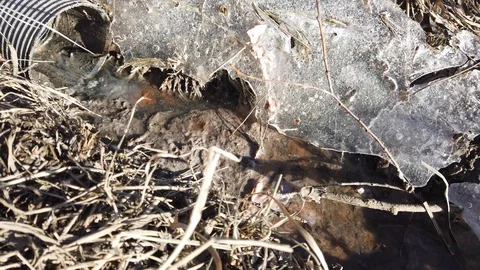 Drainpipe in nature on winter day Stock-Footage 104136783