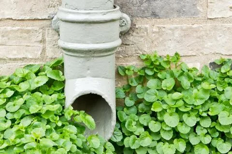 Drainpipe Stock Photos