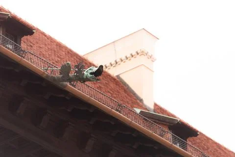 Drains in the form of dragons Stock Photos