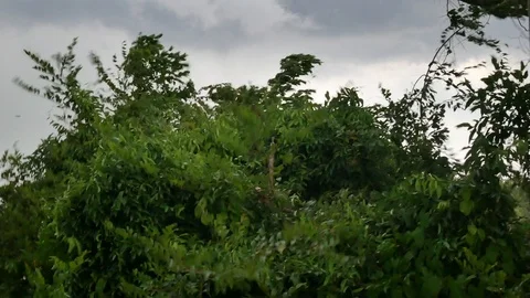 Drak cloud before strom. Stock Footage 107826608