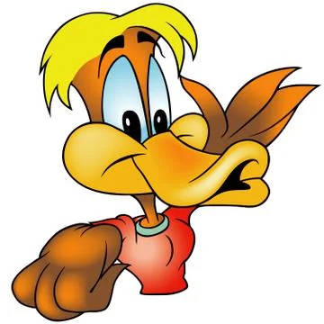 Drake Duck Stock Illustration