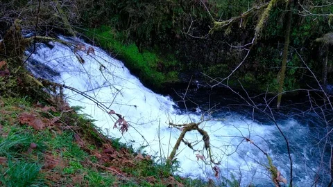 Drake Falls, Silver Falls State Park, Oregon Stock Footage 74249249